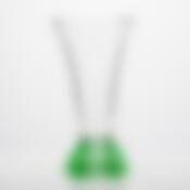 Ваза Crystalite Bohemia Rose Frost, H=35,5 см салатовый мат.