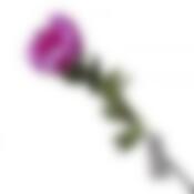 Цветок искусственный (на ножке) "Пион" h=53см. (2вида) (min18) (коричневая упаковка)