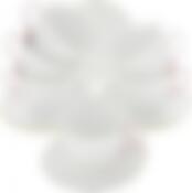 Чайный снабор на 6 персон Loraine Нежность, 220 мл