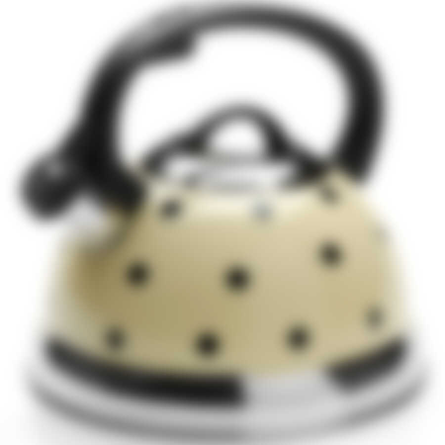 25660 Чайник 2,6л с/кр метал БЕЛЫЙ