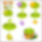 Ситечко для чая "Фрукты" с крышкой 2 диз