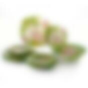 Столовый набор на 6 персон Luminarc Carine Freesia  с салатником, 19 предметов