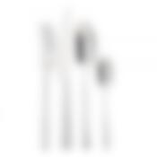 Столовые приборы Gottis - 209/4 коллекция "Chili" (1персона/4предмета)