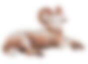 Статуэтка "БАРАН" 53*27*30 см.