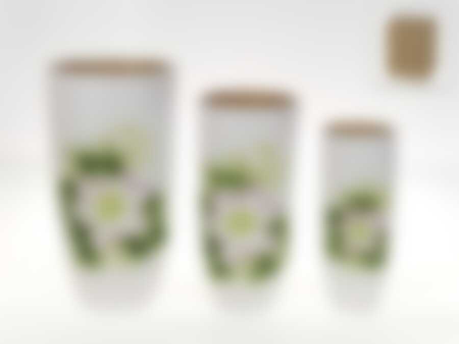 Вазы декоративные, набор из 3шт. "Клематис" d=9/12/15см h=23/26/30см (без подарочной упаковки)