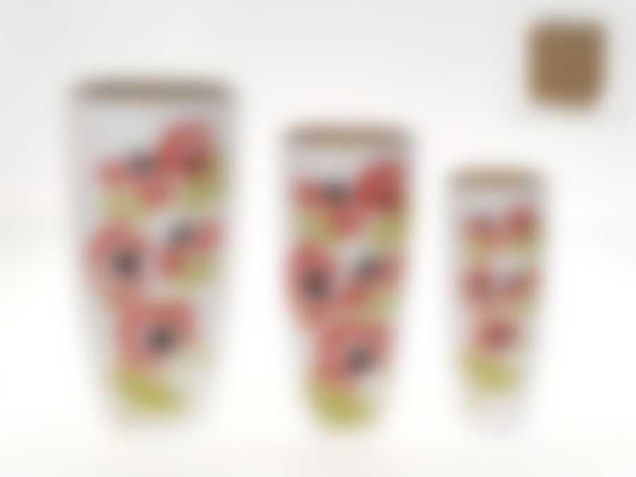 Вазы декоративные, набор из 3шт. "Маков цвет" d=9/12/15см h=23/26/30см (без подарочной упаковки)