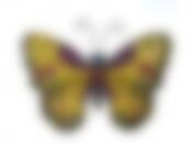 Панно декоративное, настенное "Бабочка" 54*40см (металл)