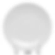 Блюдце Европейское