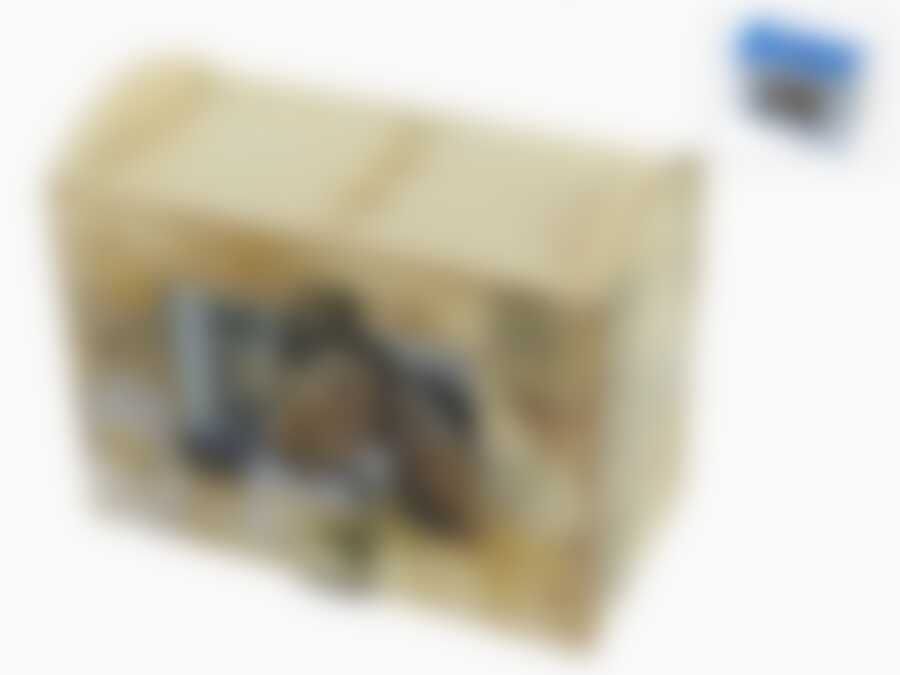 Бокс для фото на 74шт. "Совершенство" 10*15см (20*10*17,5см) (2вида)