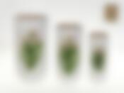 Вазы декоративные, набор из 3шт. "Фрезия" d=9/12/15см h=23/26/30см (без подарочной упаковки)