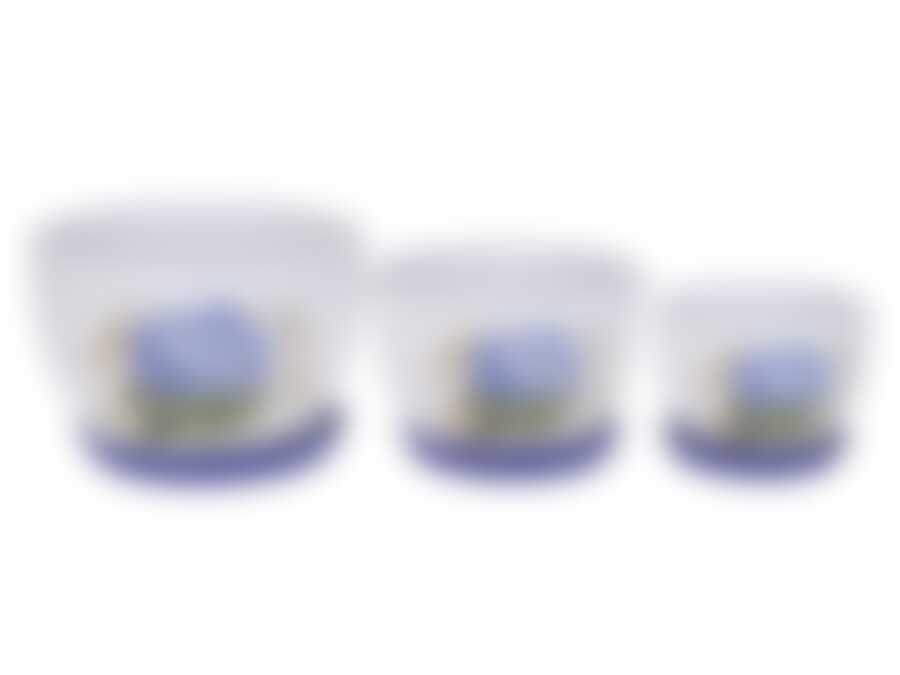 Горшки для цветов с поддонами, набор 3шт. "Лиловая гортензия" d=23/19/15см h=15/12,5/10,5см v=3900/2300/1100мл (белая упаковка)