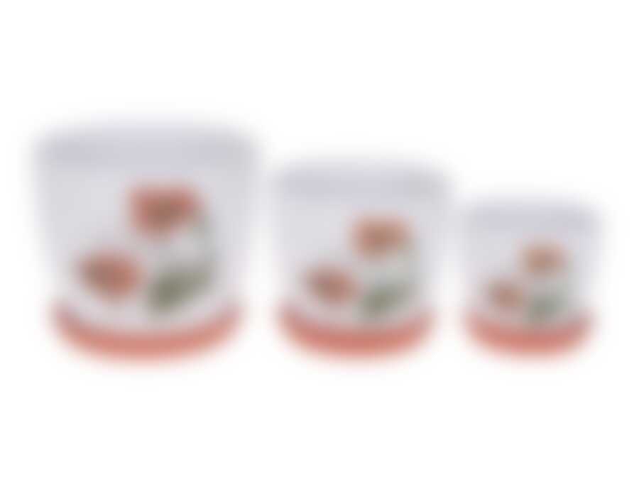 Горшки для цветов с поддонами, набор 3шт. "Полевые маки" d=16,5/13,5/11см h=14/11,5/9см v=1900/1100/500мл (белая упаковка)