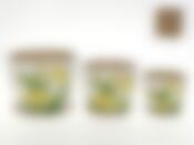 Горшки для цветов, набор 3шт. "Аромат весны" v=2300/1200/600мл 