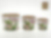 Горшки для цветов, набор 3шт. "Аромат весны" d=18/14,5/11,5см h=14/12/10см v=2300/1200/600мл (без подарочной упаковки)