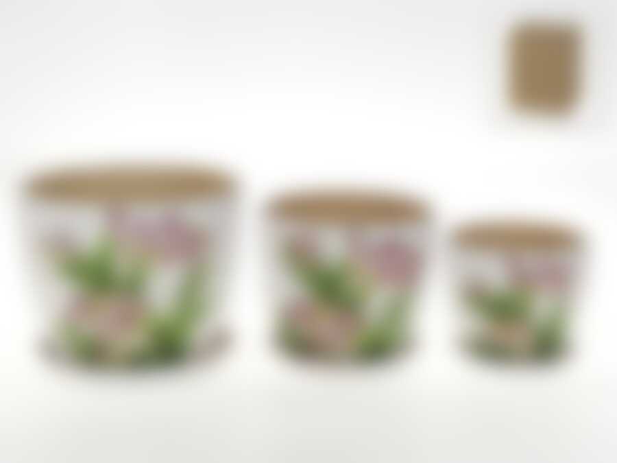 Горшки для цветов, набор 3шт. "Аромат весны" d=18/14,5/11,5см h=14/12/10см v=2300/1200/600мл (без подарочной упаковки)