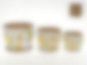 Горшки для цветов, набор 3шт. "Флора" d=18/14,5/11,5см h=14/12/10см v=2300/1200/600мл (без подарочной упаковки)