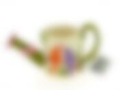 Изделие декоративное "Райский сад/Лейка" 22*8,5*11,5см (искусственный войлок) (упаковочный пакет)