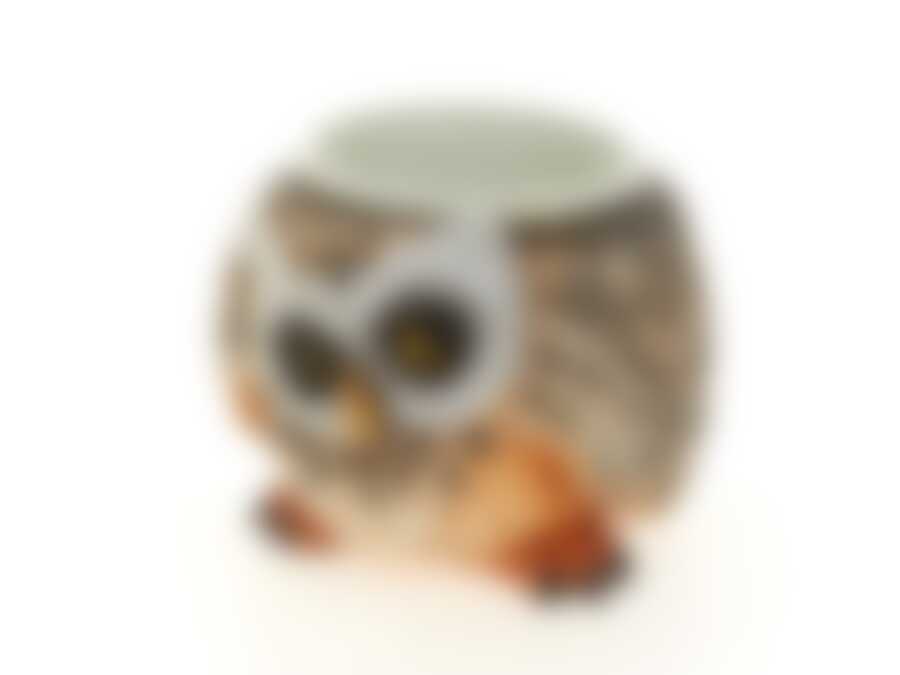 Кашпо декоративное для цветов (с пластиковым вкладышем) "Сова" d=13,5см h=11,5см (18,5*21,5*17см) (без подарочной упаковки)