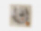 Украшение декоративное (подвесное) "Сова/Подкова" 10*11*1см (металл, декоративные стразы) (подарочная упаковка)