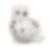 Фигурка "СОВА" длина=19 см.высота=22 см.