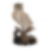 Фигурка "СОВА" цвет.карт.упак. высота=35 см