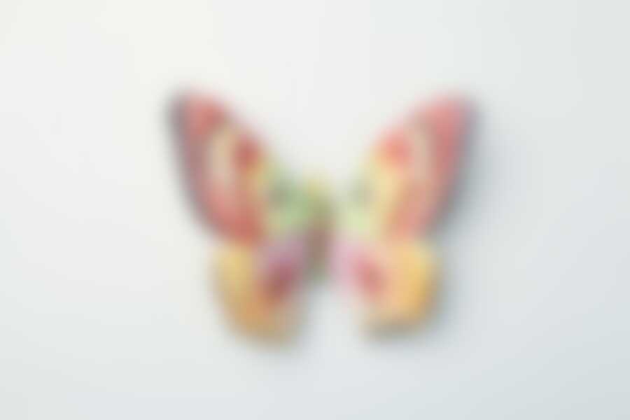 Панно настенное "БАБОЧКА" 22*20 см.