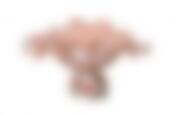 Чаша декоративная 27*19,5 см. высота=15 см.