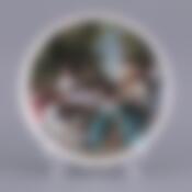 Тарелка декоративная диаметр=20 см.