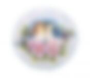 Тарелка настенная декоративная "ПТИЦЫ НА ШИПОВНИКЕ" диаметр=20 см