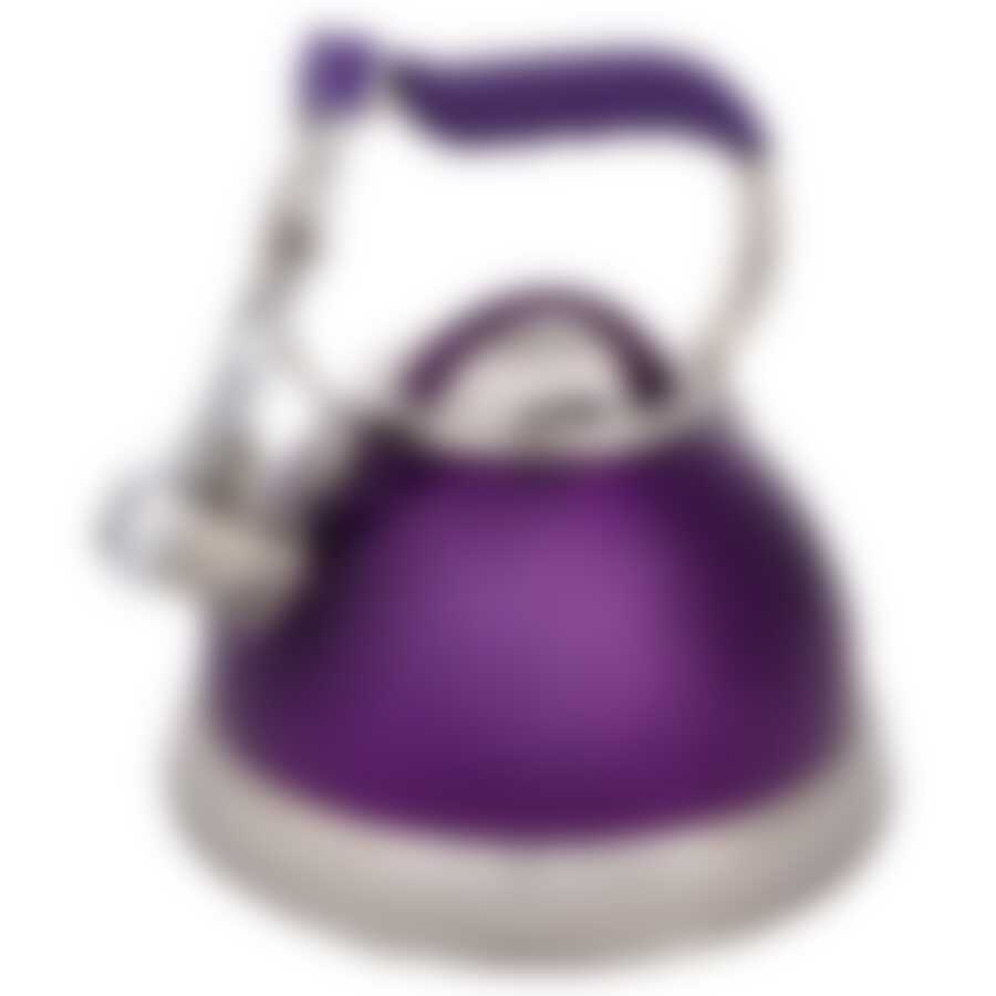 Чайник CALVE со свистком, объем 2,7 л