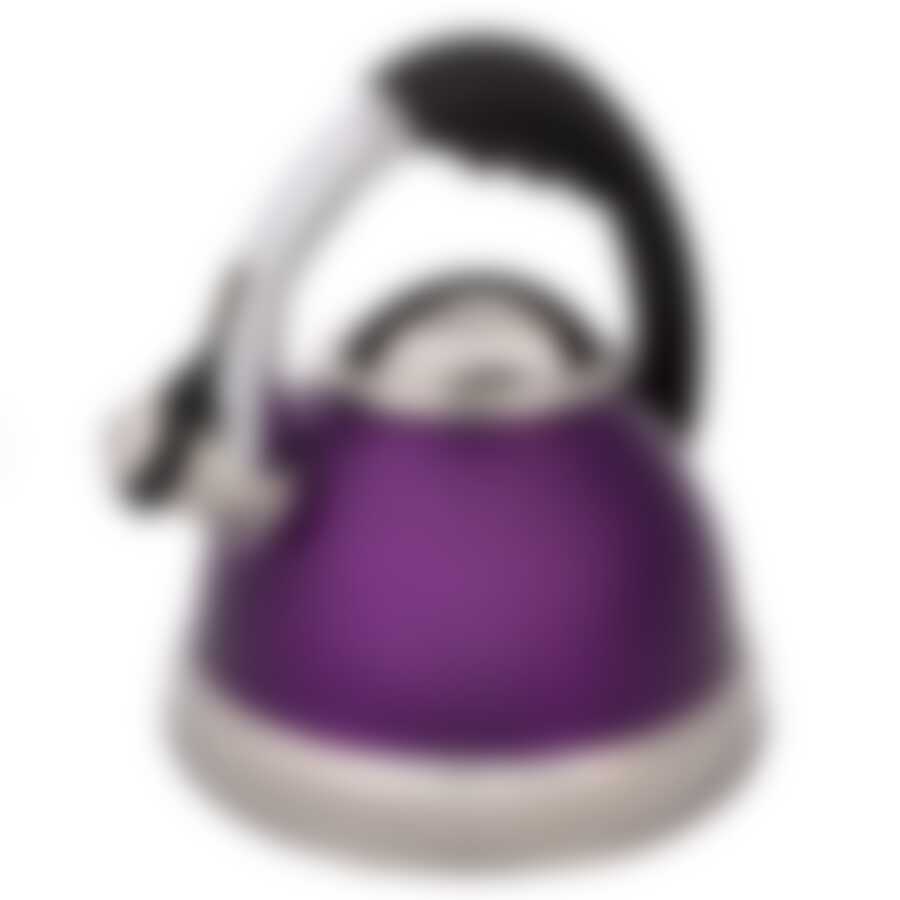 Чайник CALVE со свистком, объем 2,6 л