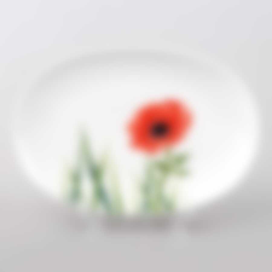 Тарелка столовая мелкая Domenik Blooming, D=26 см