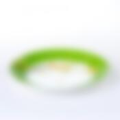 Тарелка столовая мелкая Domenik Paradise Bird, D=24 см