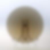 Тарелка десертная Luminarc Director Eclipse, D=19,6 см