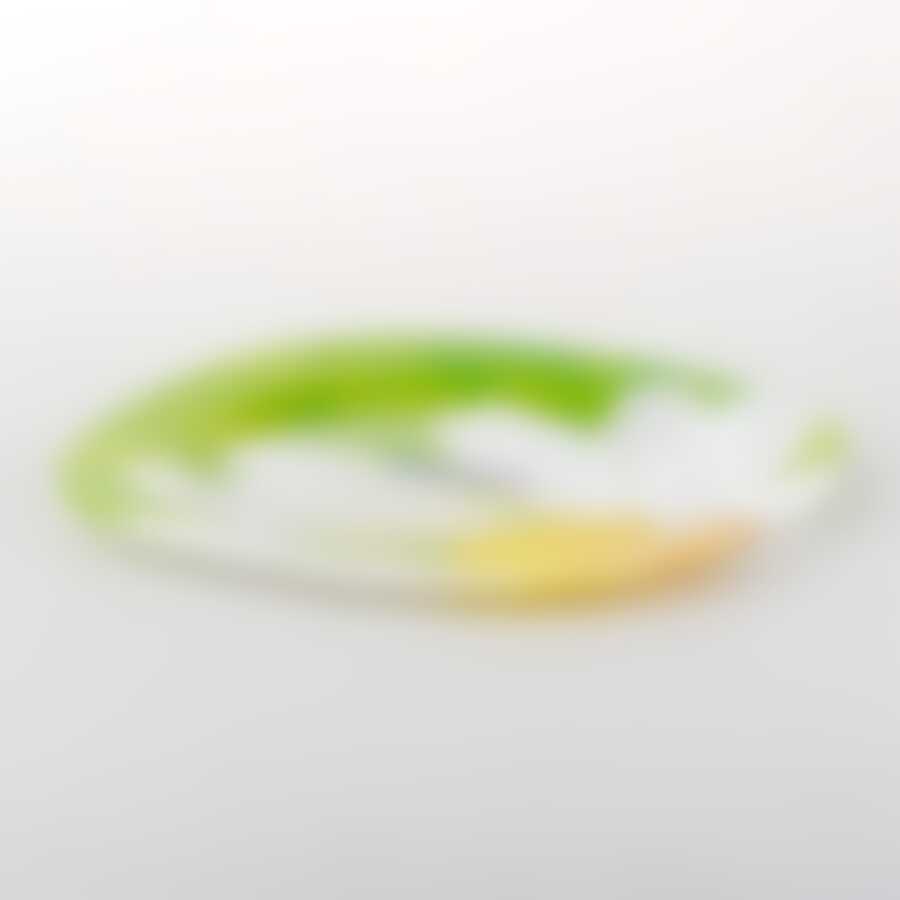 Тарелка столовая мелкая Luminarc Carine Paquerette Green, D=28 см