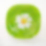 Тарелка столовая глубокая Luminarc Carine Paquerette Green, D=22 см