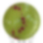 Тарелка закусочная (десертная)  Luminarc Kashima Green, D=20 см