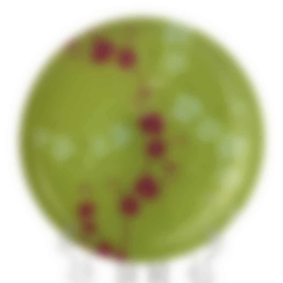 Тарелка закусочная (десертная)  Luminarc Kashima Green, D=20 см
