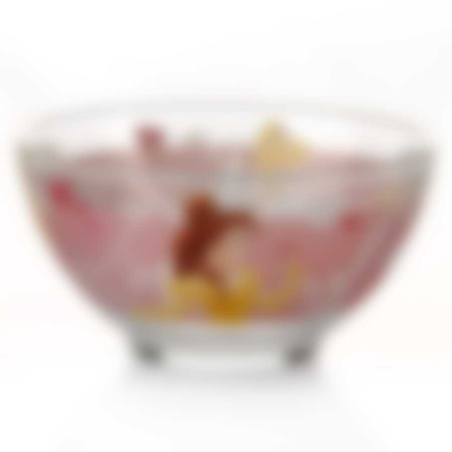 Пиала "ПРИНЦЕССА И УКРАШЕНИЯ", объем 500 мл