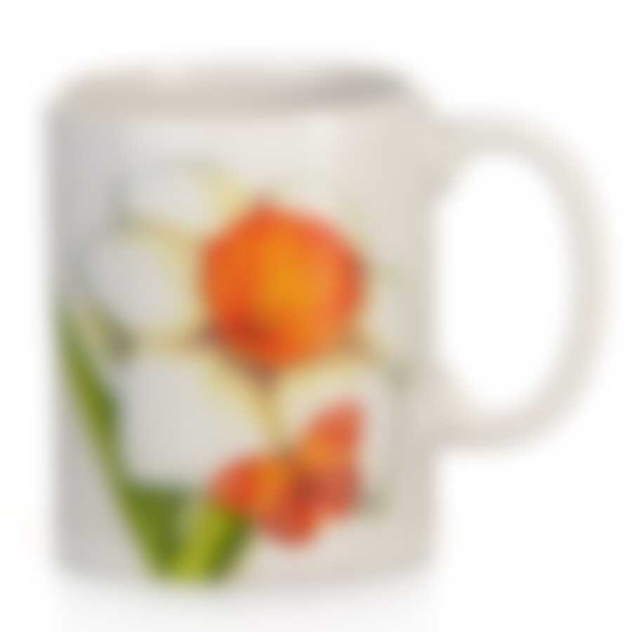 Кружка "Нарцисс" v=310мл. (подарочная упаковка)