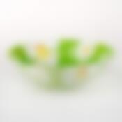 Салатник карин ромашка, диаметр 270 мм