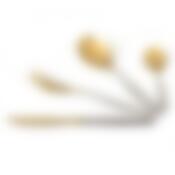 Набор столовых приборов с частич. декор. покр. "Уралочка", 24 пр.