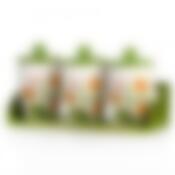 Банки для сыпучих продуктов, набор 3шт. "Нарцисс" d=9,5см. h=16см. v=600мл. (32*10,5*17см. (на деревянной подставке)) (конус) (подарочная упаковка)