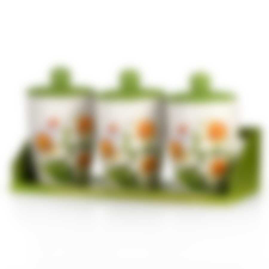 Банки для сыпучих продуктов, набор 3шт. "Нарцисс" d=9,5см. h=16см. v=600мл. (32*10,5*17см. (на деревянной подставке)) (конус) (подарочная упаковка)