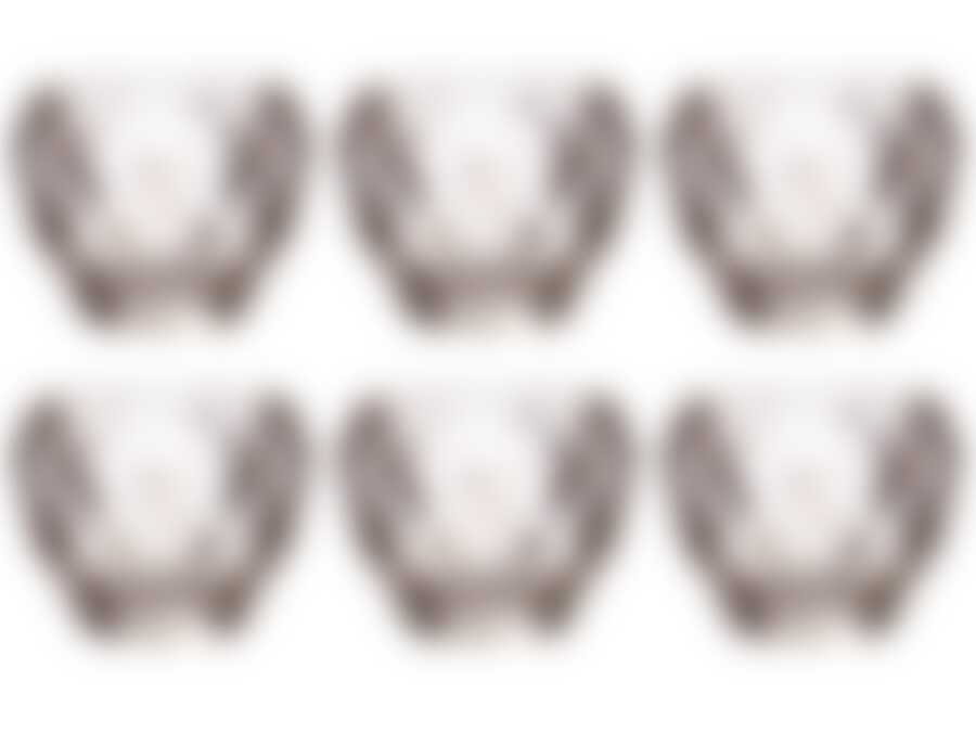 Набор стаканов из 6 шт."ГАВАНА", объем 300 мл