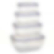 Воздухонепроницаемый прямоугольный контейнер StarPlast, 4 шт