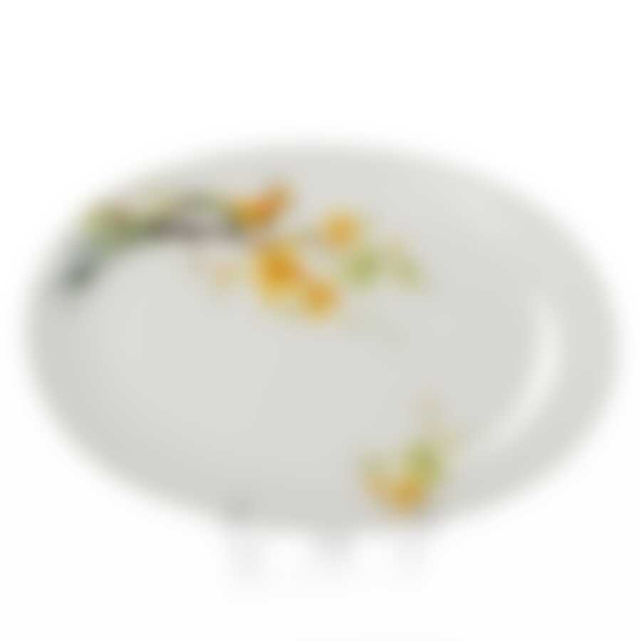 Тарелка столовая мелкая Domenik Paradise Bird, D=26 см