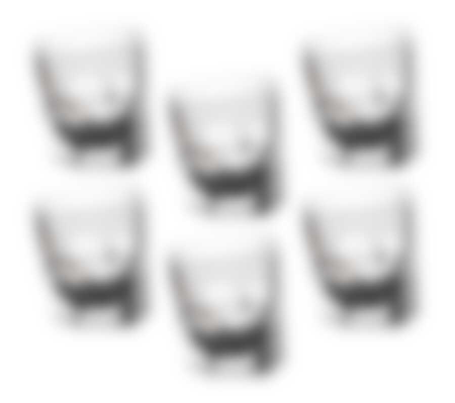 Набор стаканов для виски из 6 шт."АКАПУЛЬКО", объем 320 мл