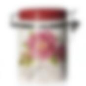 Банка для сыпучих продуктов с клипсой "Райский сад", д 10 см, в 15 см, об.700 мл