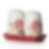 Набор для специй Polystar "Райский сад", 3 предмета